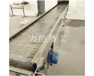 新疆链板输送机